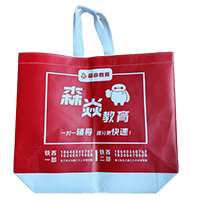 广州LB37培训班广告袋